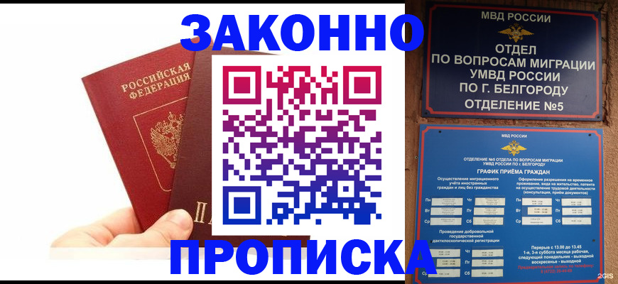 временная регистрация для школы в Ковылкино